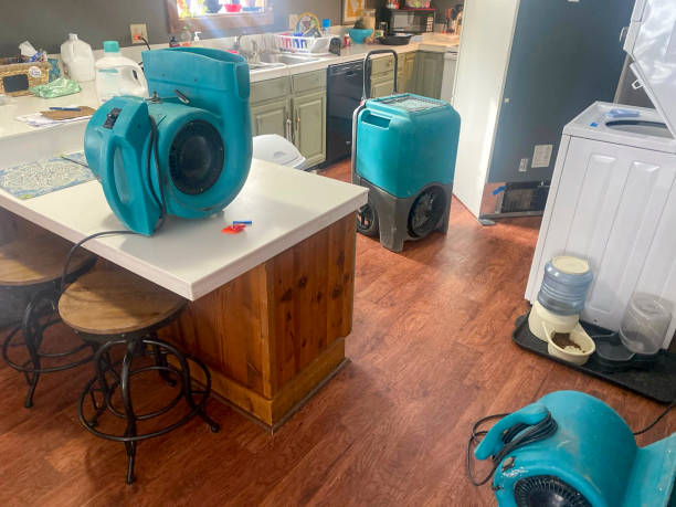 Best Basement water damage restoration  in Durham, NC