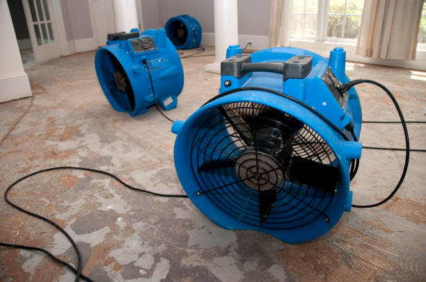 Best Sewage cleanup and water damage restoration  in Durham, NC