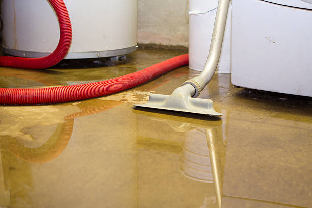 Best Water damage cleanup near me  in Durham, NC