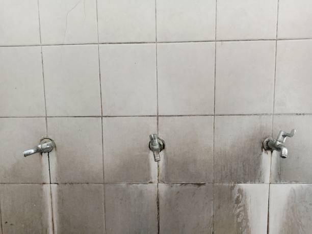 Best Water damage restoration process  in Durham, NC