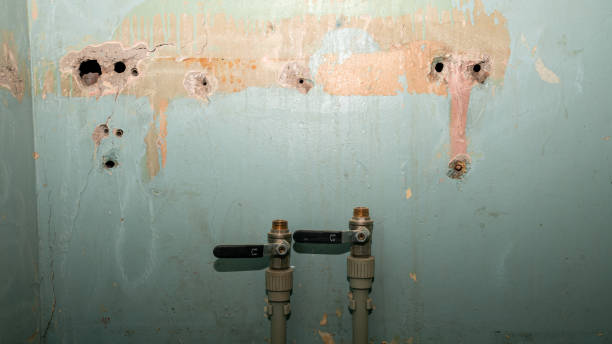 Best Flood restoration services  in Durham, NC