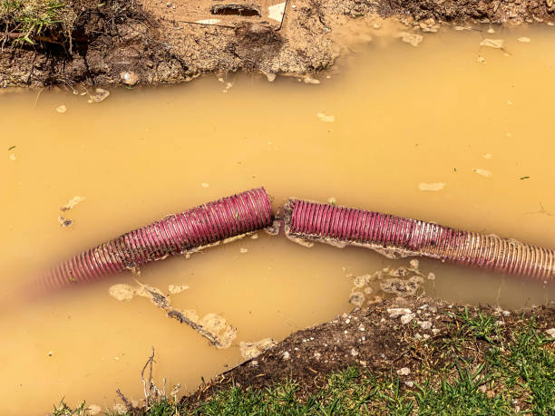 Best Carpet water damage restoration  in Durham, NC
