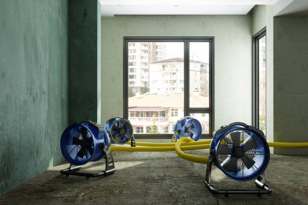 Best Professional water damage repair  in Durham, NC