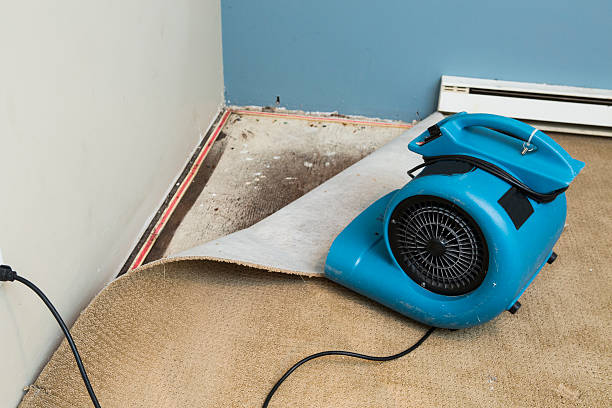 Best Flooded house restoration  in Durham, NC